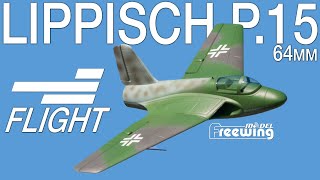 Revisiting the Freewing Lippisch P15 64mm EDF Jet  Motion RC Flight [upl. by Notsob]