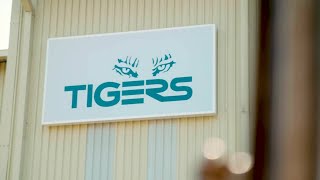 Tigers Logistics on CargoWise [upl. by Hsirahc819]