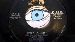 David Hill  Wild Child [upl. by Euqinor802]