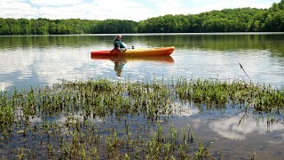 Salem Lake Kayak Rentals are Back [upl. by Novert372]