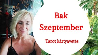 quot Fát vágnak a hátadon quot Általános tarot kártyavetés bak horoszkóp jegy részére [upl. by Naux]