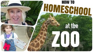 🐆 How To Turn A Zoo Trip Into A HOMESCHOOL DAY  Free Printable Download in the Description 🐆 [upl. by Yellek]