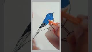 KingFisher Bird Drawing  How to Draw KingFisher Drawing  Step by Step for kids [upl. by Olenolin892]