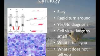 Cytology in the Diagnosis of Cancer [upl. by Enellek146]