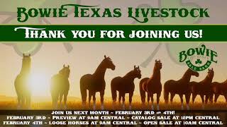 Bowie Texas Livestock January 7th Open Sale [upl. by Lethia537]