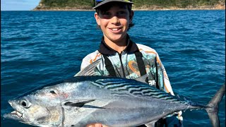 Whitsunday islands fishing [upl. by Asined]