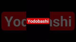 Yodobashi Logo [upl. by Ynnatirb919]