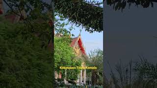 Wat Chalong phuket thailand buddha [upl. by Anaeli564]