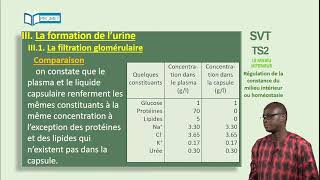 Régulation de la constance du milieu intérieur ou homéostasie  structure et fonctionnement du rein [upl. by Nirehtac]