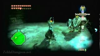 Legend of Zelda Twilight Princess Walkthrough 21 68 quotCave of Ordeals Floors 4047quot [upl. by Letnohc106]