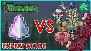 Terraria  Last Prism vs All Bosses and Events  Dungeon Guardian Expert Mode  Biron [upl. by Quar]