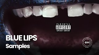 Every Sample From ScHoolboy Qs BLUE LIPS [upl. by Petit]