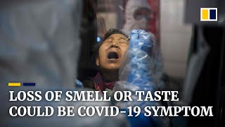 Coronavirus loss of sense of smell or taste could be a symptom of Covid19 [upl. by Jaehne]