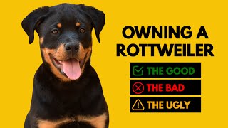 Owning a Rottweiler The Good The Bad The Ugly [upl. by Kendricks420]