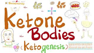 Urine Ketone Bodies  Ketosis and Ketoacidosis  Lab Chemistry [upl. by Nageet727]