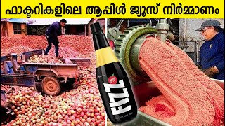 How Apple Juice is Manufactured in Factories  ആപ്പിൾ ജ്യൂസ് ഫാക്ടറിയിൽ ഉണ്ടാക്കുന്ന കാഴ്ചകൾ [upl. by Yerhcaz]