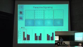 The Role of Cell Geometry in Stem Cells [upl. by Arek]