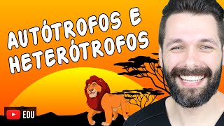 ORGANISMOS AUTÓTROFOS E HETERÓTROFOS  Biologia com Samuel Cunha [upl. by Aihgn]