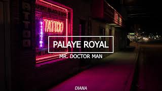 Mr Doctor Man  Palaye Royal sub español [upl. by Bang]