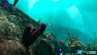 Matrox Parhelia Reef Demo HD [upl. by Aicirtak]