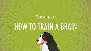 How to Train a Brain Crash Course Psychology 11 [upl. by Nollahp]