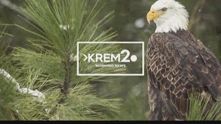 KREM News 7 am Jan 23 2019 [upl. by Pearline]