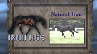 Iron Age  AQHA Stallion [upl. by Thurlough]