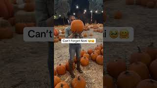 Bane gets anti when he doesn’t go out with us 🥴 raisingbane funnydogs familyvlog pumpkinseason [upl. by Nawtna699]