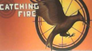 Catching Fire Audiobook Chapter 8 [upl. by Watkins709]