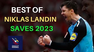 Best of Niklas Landin Saves POLSWE 2023 [upl. by Lartnom]