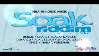 Soak Riddim MIXOctober 2012  Inna Mi House Music [upl. by Aisad]