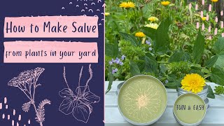 How to Make Salve  How to Make Herbal Salve  Wildcrafting  Herbalism [upl. by Hajan235]