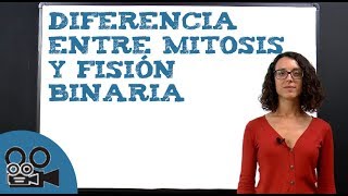 Diferencia entre mitosis y fisión binaria [upl. by Yeltrab]