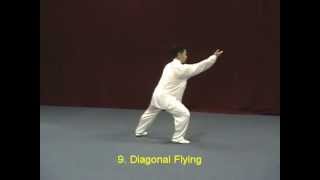 YangStyle 48 Form Tai Chi Chuan [upl. by Neema]