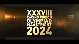 XXXVIII Olimpiada Gołębi Pocztowych Maasteicht 2024 [upl. by Ainex517]