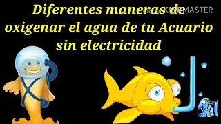 Diferentes maneras de oxigenar el agua de tu Acuario sin electricidad [upl. by Shelia]