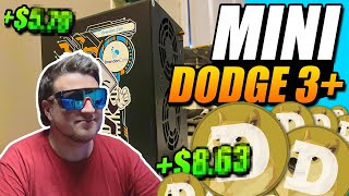 Mining Doge at Home Mini Doge 3 [upl. by Nhguaval]