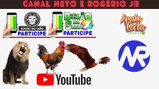 RESULTADO AO VIVO ROGERIO E NETO JB  FEDERAL  21092024 [upl. by Maillij]