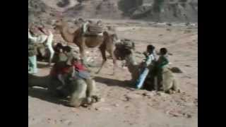 The wadi Rum Jordanie  Jordan  الأردن in 1991 [upl. by Ire816]