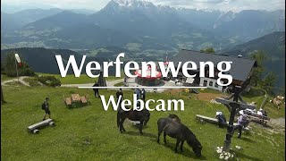 Webcam Werfenweng – Zauberhafter Almsommer in Österreich [upl. by Lleneg]