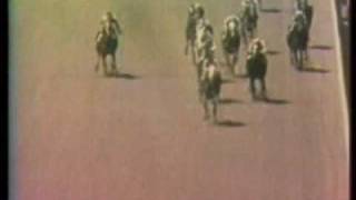 SECRETARIAT  1972 Aqueduct Allowance 1st win [upl. by Orelie]