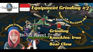 IRON BEAR CLAW KNUCKLES  KNUCKLE GRINDING FROM MONSTERS NEWBIE FRIENDLY  EQUIPMENT GRINDING 1 [upl. by Naoh471]