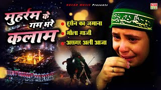 Moharram Ke Nohay  मोहर्रम के ग़म भरे नोहे  Muharram ul Haram 2024  Latest Shahidi Nohay  Audio [upl. by Sisto]