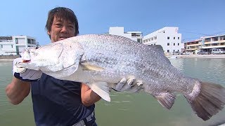 【釣り百景】215 台湾で延べ竿勝負！淡水amp海水の釣り堀で大物釣り [upl. by Amihsat]