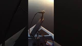 Sunrise Topwaterbassfishingismylife bassfishing livingourbestlife 6sensefishing [upl. by Rafa667]