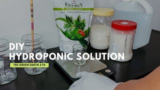 How to Make Your Own Hydroponic Solution at Home  DIY Hydroponic Nutrients [upl. by Manly]