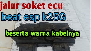 Jalur dan warna soket ecu beat esp k25 [upl. by Royal422]