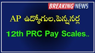 AP Government Employees and pensioners 12th PRC pay scales and benifits  Calculation of 12th PRC [upl. by Sillaw984]