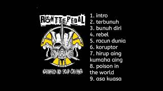 Ranttepedal  poison in the world 2012 punk [upl. by Anderer420]