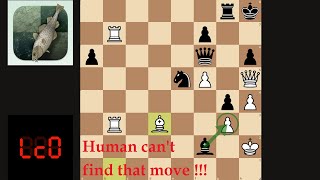 Lc0 vs Stockfish Best Match  Collection 286 [upl. by Oibesue977]